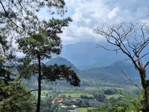 Puncak Pinus Tourist Area Cikalong-Jonggol