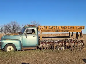 South Dakota Pheasant Acres
