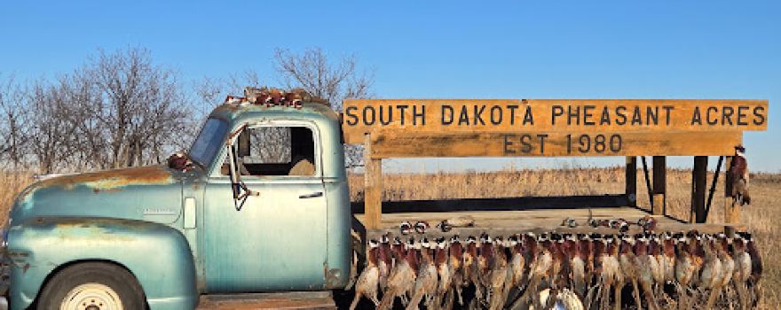South Dakota Pheasant Acres