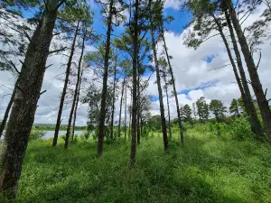 Represa de Rumi Punco