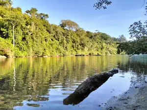 Cagar Alam Leuweung Sancang