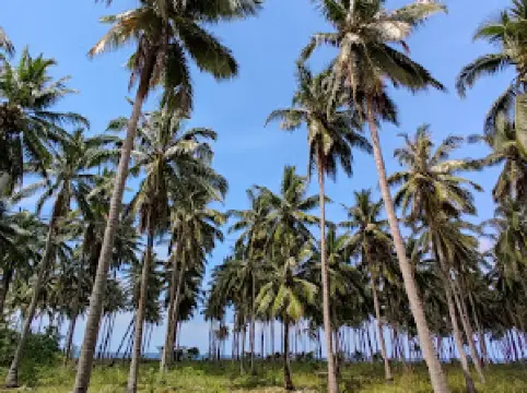 Little Siargao ng Palawan