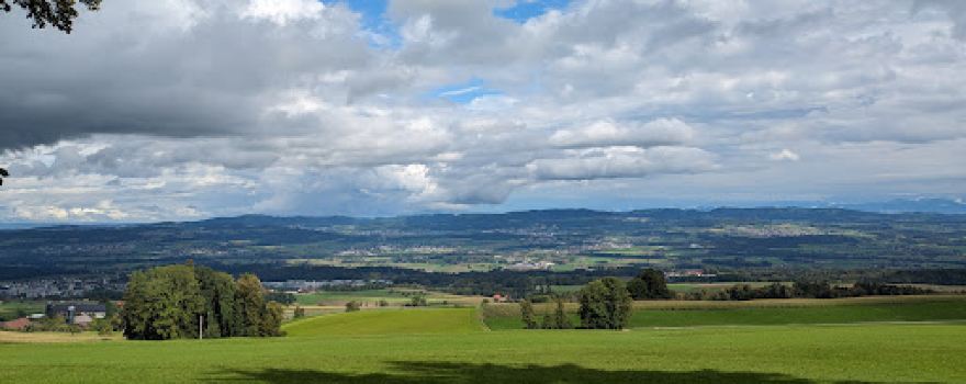 Vorderwald