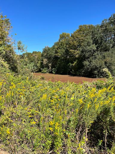 Buffalo Bayou Nature Trail
