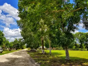 Mahogany Park