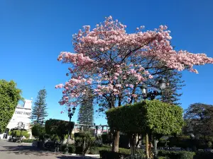 Plaza Principal