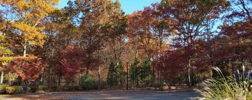 Robert J. Henke Nature Preserve Passive Park