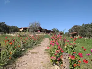 Nilüfer gölü Biga