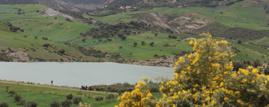 Oued Zitoun