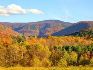 Mt. Greylock Campsite Park