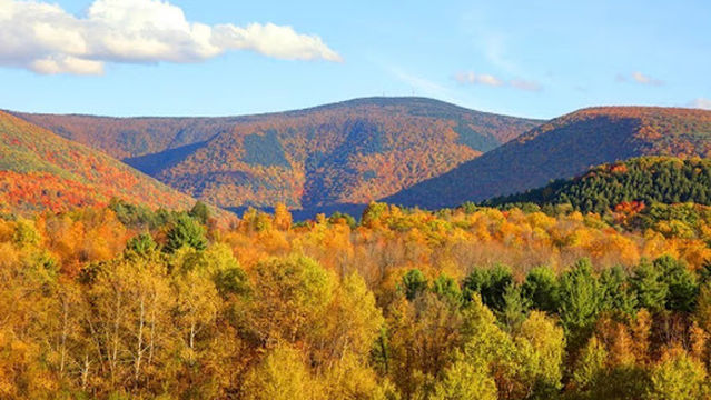 Mt. Greylock Campsite Park