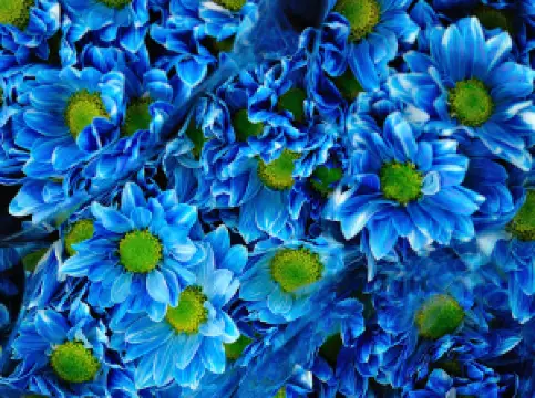 チルドレン・パーク