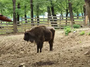 Grădina Zoologică