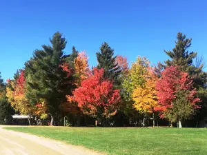 Blue Haven Campground and Resort