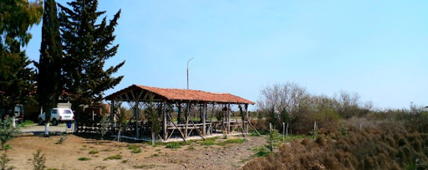 Şirvan Milli Parkı - Shirvan National Park