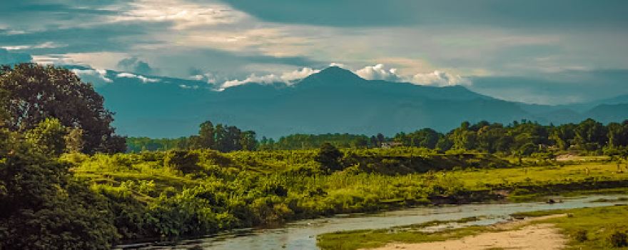 Baikunthpur forest