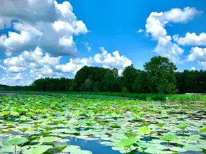 Reelfoot Lake Tourism Council