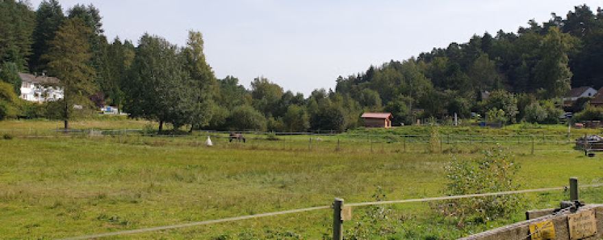 Eckbach Ursprung