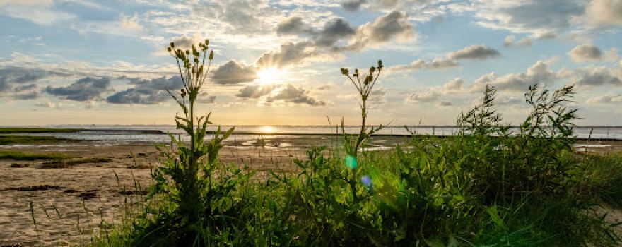 Hundestrand Nessmersiel