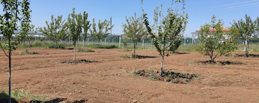Zehra'nın Bahçesi