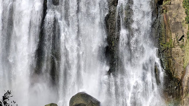 Marokopa Holiday Park