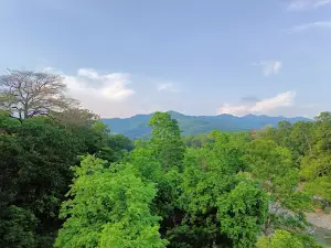 Koilabas View Tower