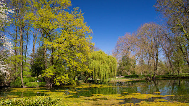 Schlosspark Schloss ، Paffendorf