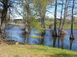 McGehee Ball Park
