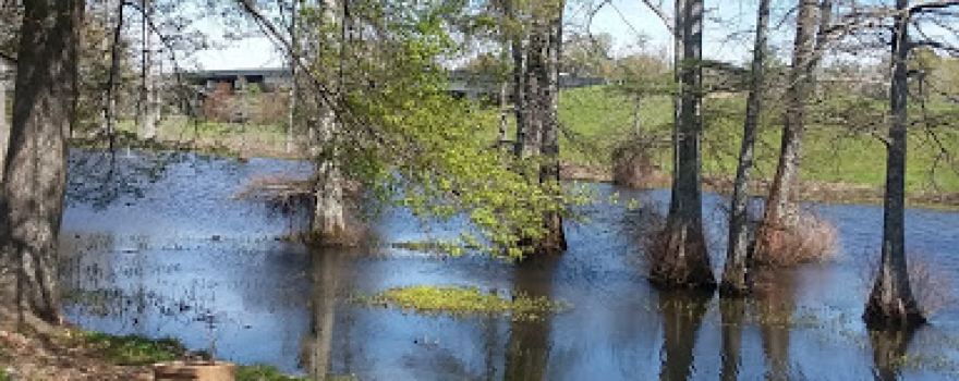 McGehee Ball Park