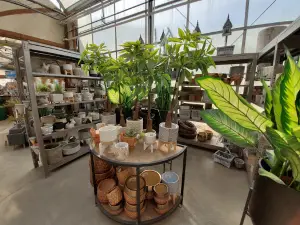 Shelmerdine Garden Centre Ltd