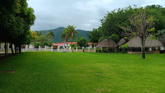 Assembly Hall of Jehovah's Witnesses
