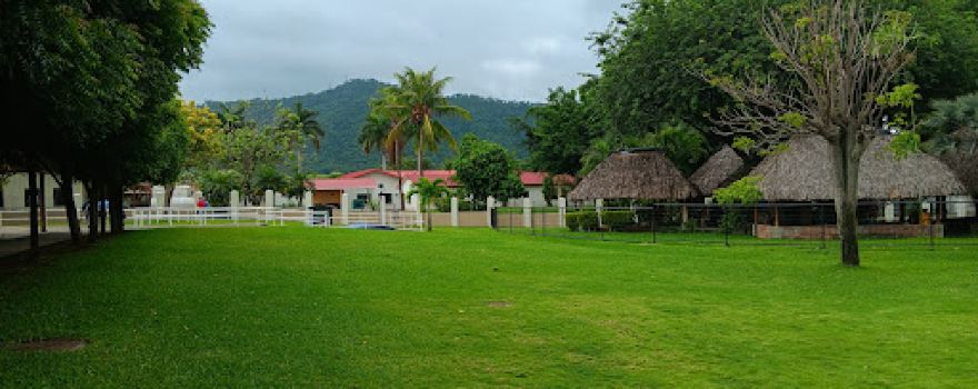 Assembly Hall of Jehovah's Witnesses