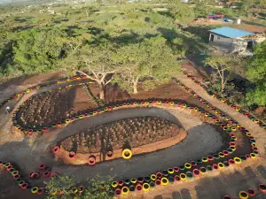 Ngoma Family Park