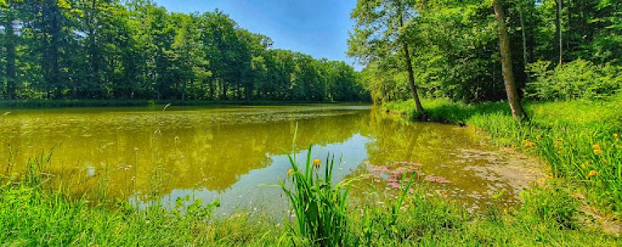 Naturfreunde Ötisheim