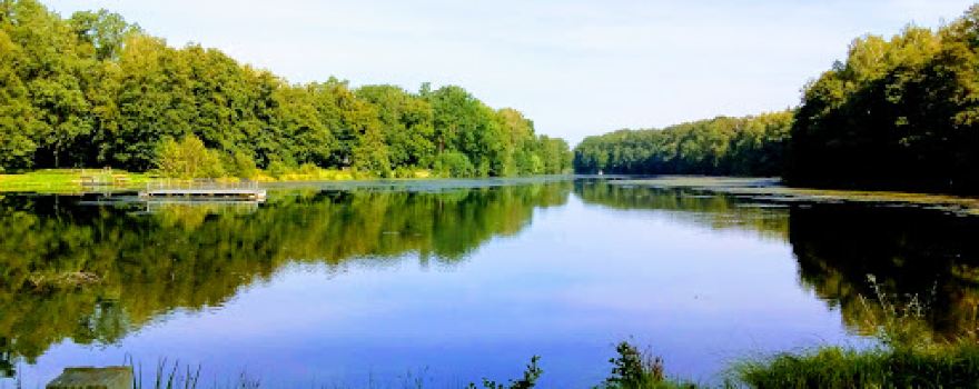 Waldbad Amelinghausen