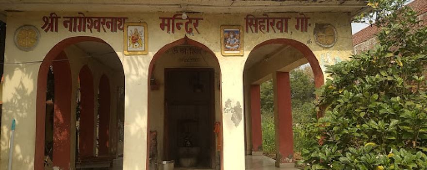 Shree NageshwarNath Mandeer