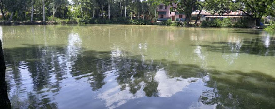 Nandigram School Pond
