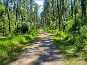 Broxton Bridge Campgrounds