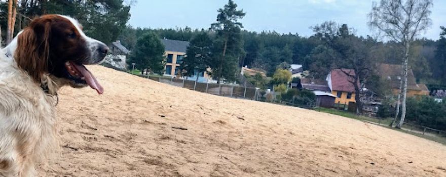 Písečný přesyp u Píst