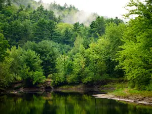 Lake George Escape Campground