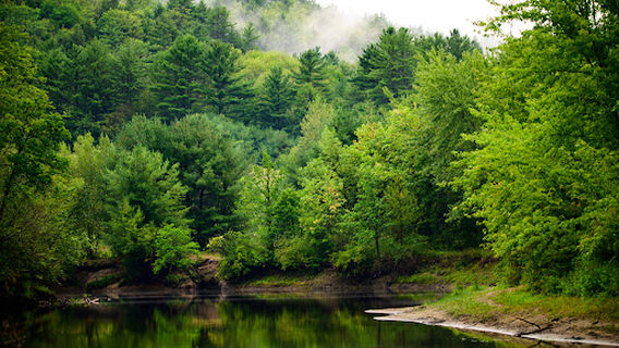 Lake George Escape Campground