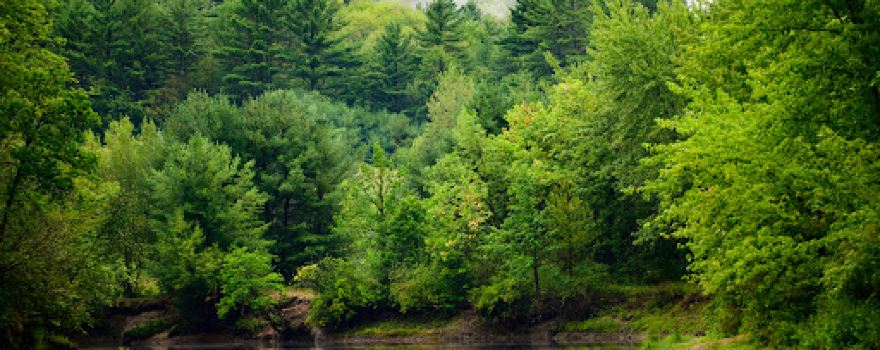 Lake George Escape Campground