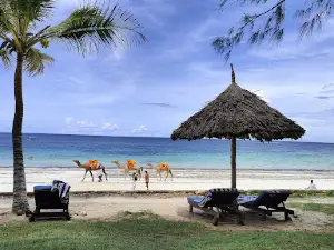 Trade Winds