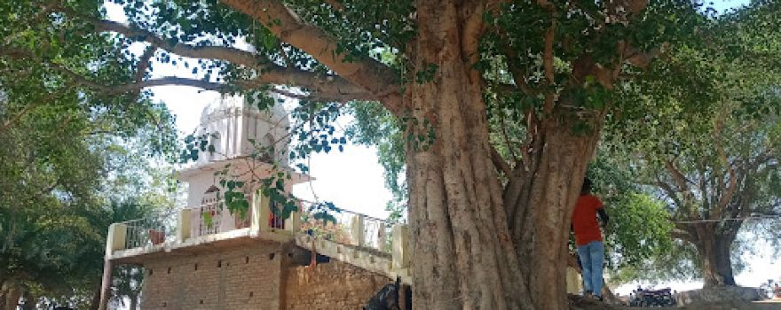 Maa shinghwahni famous temple lakhanpur