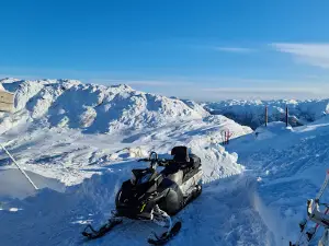 Stavtjørn Alpine