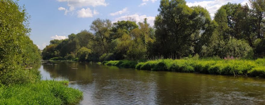 Chasovnya U Sel'skogo Pogosta