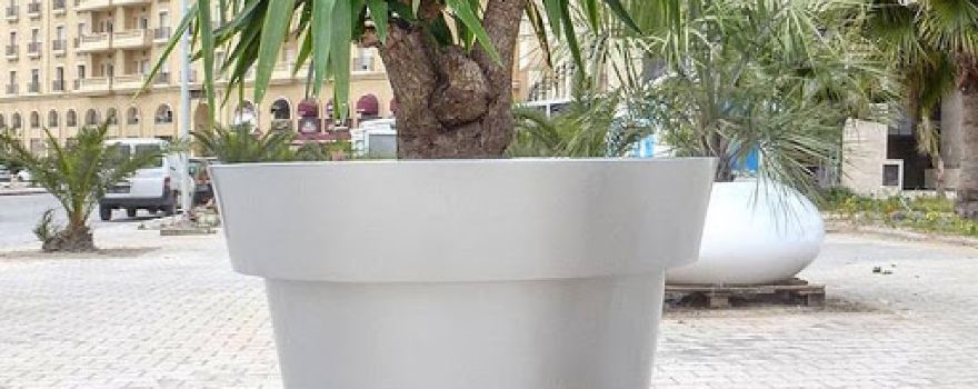 The vegetal Touch
