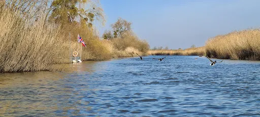 Riverside South Downs Self-Drive Boat Hire