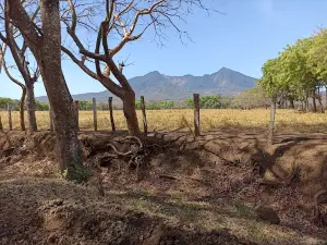 Aguas Agrias —La Nanda Reserva Natural Lagunas De Mecatepe