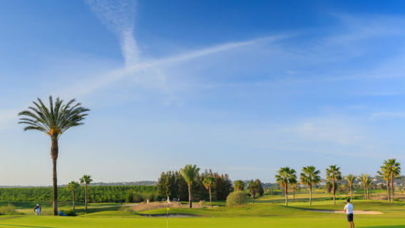 Amendoeira O'Connor Jnr.